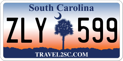 SC license plate ZLY599