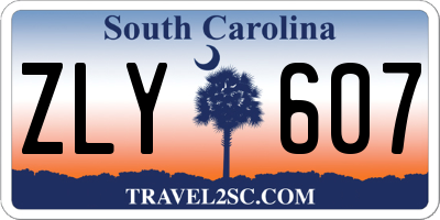 SC license plate ZLY607