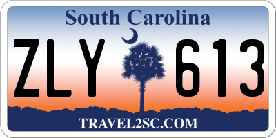 SC license plate ZLY613