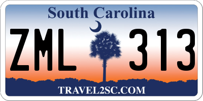 SC license plate ZML313