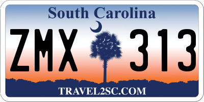 SC license plate ZMX313