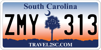 SC license plate ZMY313