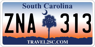 SC license plate ZNA313