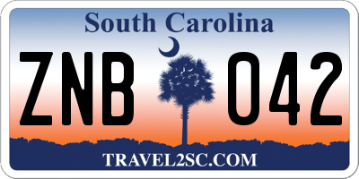 SC license plate ZNB042