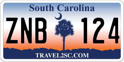 SC license plate ZNB124