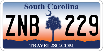 SC license plate ZNB229