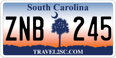 SC license plate ZNB245