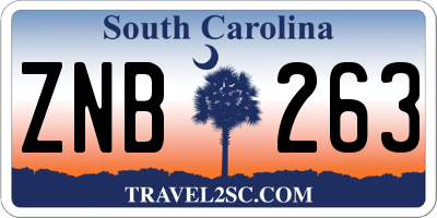 SC license plate ZNB263