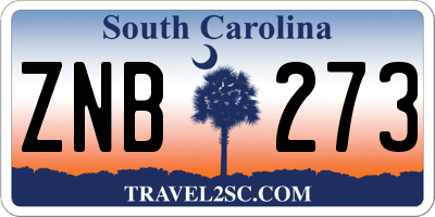 SC license plate ZNB273