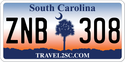 SC license plate ZNB308