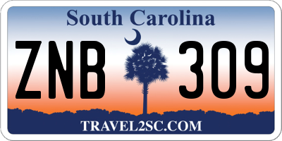 SC license plate ZNB309