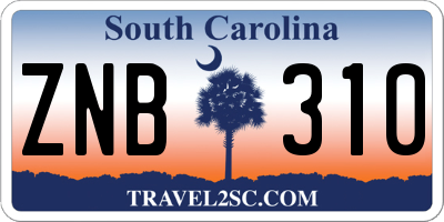 SC license plate ZNB310