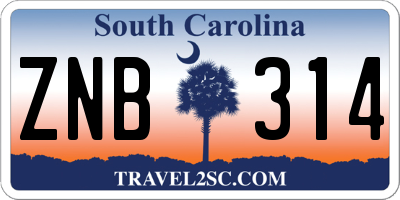 SC license plate ZNB314
