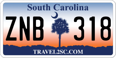 SC license plate ZNB318