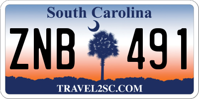 SC license plate ZNB491