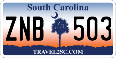 SC license plate ZNB503