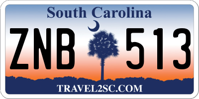 SC license plate ZNB513