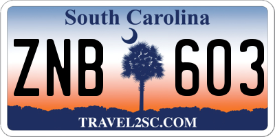 SC license plate ZNB603
