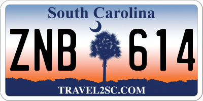 SC license plate ZNB614