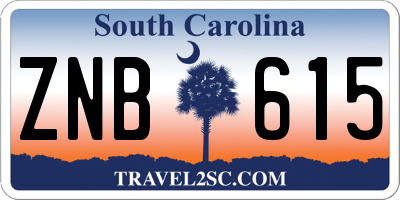 SC license plate ZNB615