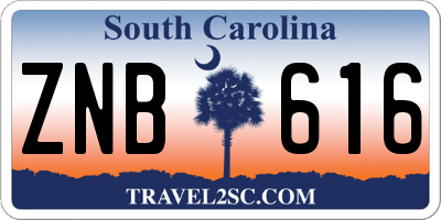 SC license plate ZNB616