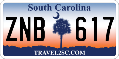 SC license plate ZNB617