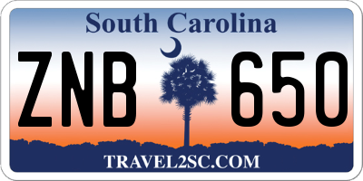 SC license plate ZNB650
