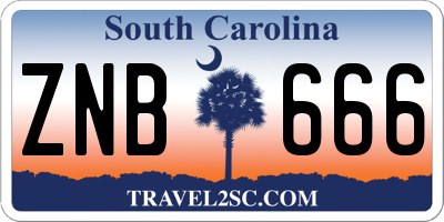 SC license plate ZNB666