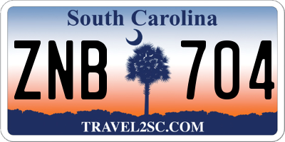 SC license plate ZNB704