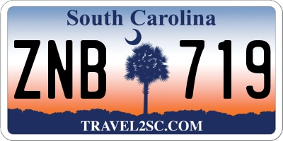 SC license plate ZNB719