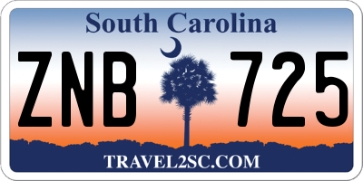 SC license plate ZNB725