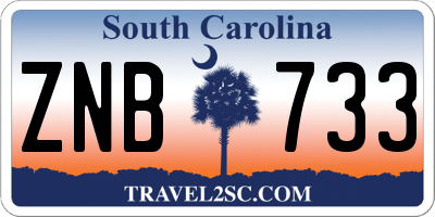 SC license plate ZNB733