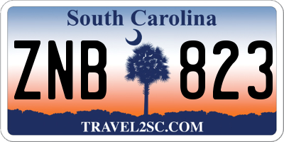 SC license plate ZNB823