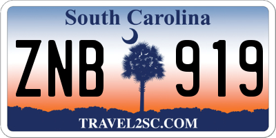SC license plate ZNB919
