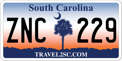 SC license plate ZNC229