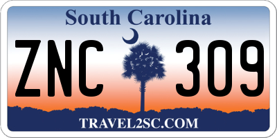 SC license plate ZNC309
