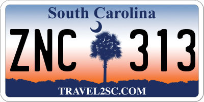 SC license plate ZNC313