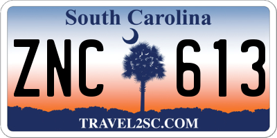 SC license plate ZNC613