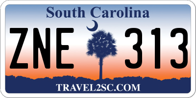 SC license plate ZNE313