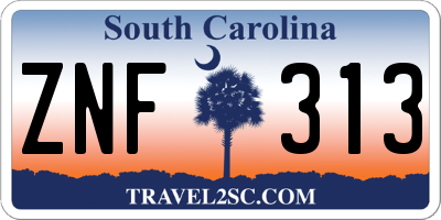 SC license plate ZNF313