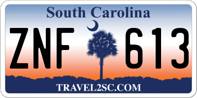 SC license plate ZNF613