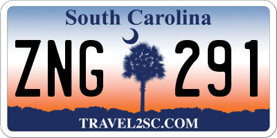 SC license plate ZNG291