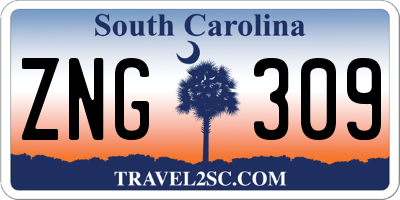 SC license plate ZNG309