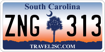 SC license plate ZNG313