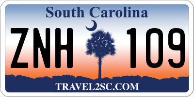 SC license plate ZNH109