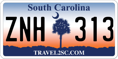 SC license plate ZNH313
