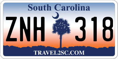 SC license plate ZNH318