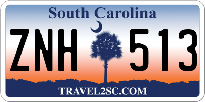 SC license plate ZNH513