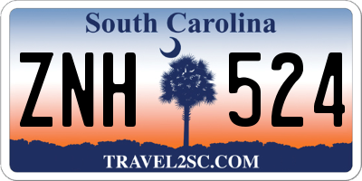 SC license plate ZNH524
