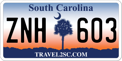 SC license plate ZNH603